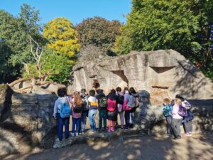 Kinder stehen im Tierpark Hagenbeck vor einem Gehege