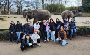 Schüler stehen in Gruppe vor den Elefantengehege im Tierpark Hagenbeck