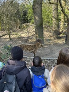 Kinder schauen sich Wildtiere an im Tierpark Hagenbeck
