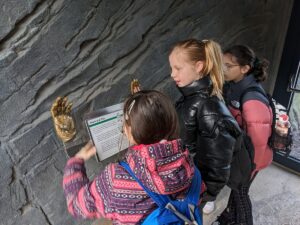 Schülerinnen schauen sich Hand und Fuß im Tierpark Hagenbeck an