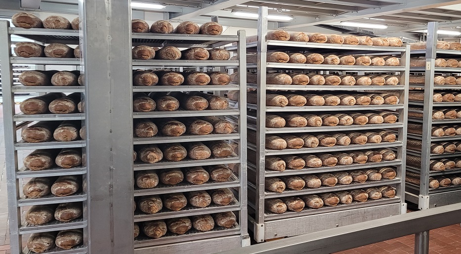 Brotlaibe in der Produktion bei Harry-Brot