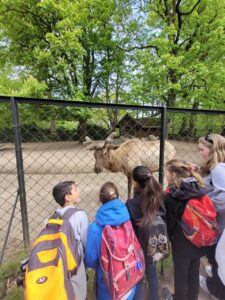 Kinder schauen sich einen Elch im Tierpark an