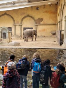 Kinder von hinten im Elefantengehege