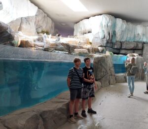 Jungs im Pinguingehege im Tierpark Hagenbeck