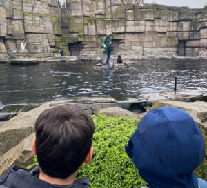 Kinder stehen bei der Seehundfütterung im Tierpark Hagenbeck