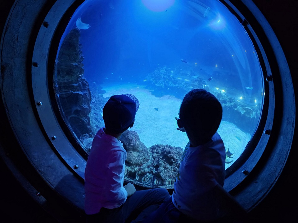 Kinder vor einem Bullauge im Tropen-Aquarium