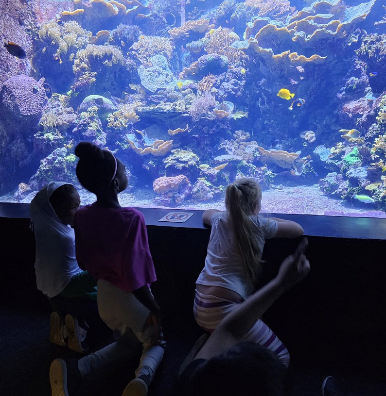 Mädchen von hinten im Tropn-Aquarium