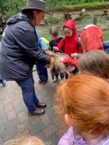 Kinder füttern Ziegen im Wildpark Schwarze Berge