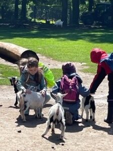 Kinder füttern Ziegen im Wildpark Schwarze Berge