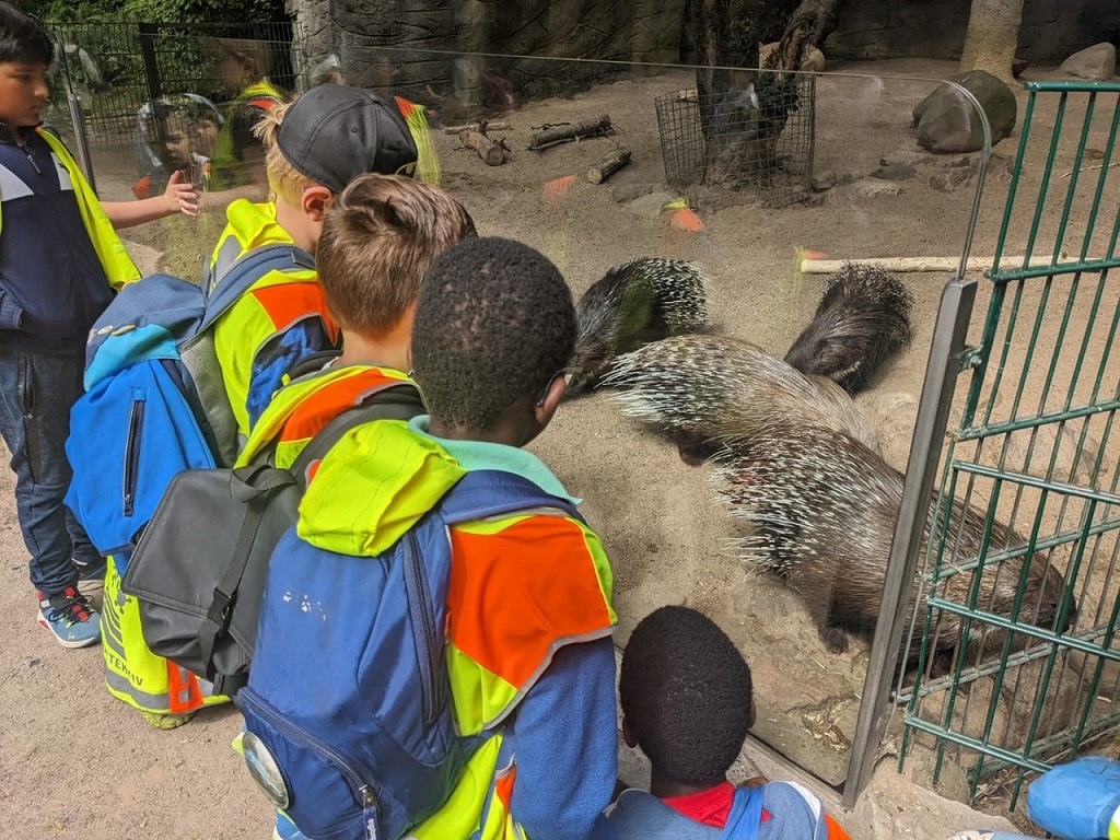 Kinder schauen den Stachelschweinen im Tierpark zu