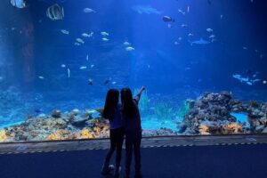 Mädchen stehen vor dem Aquarium im Tropen-Aquarium und zeigen mit Finger auf Fische