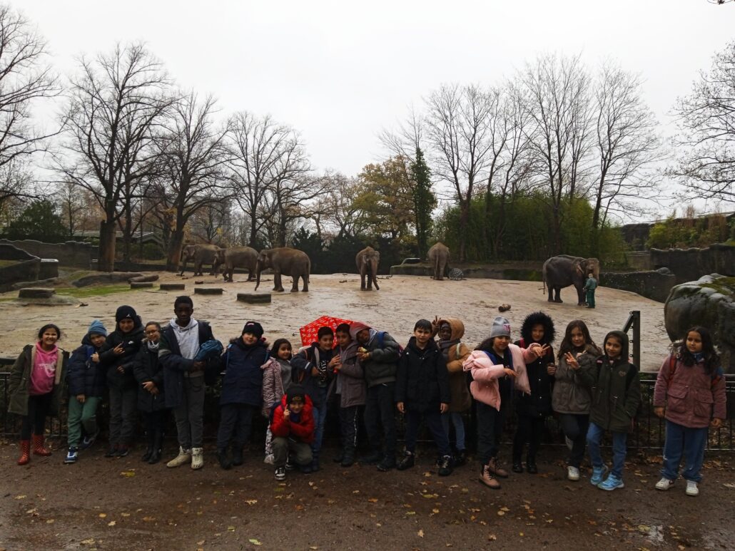 Kinder stehen am Elefantengehege im Tierpark Hagenbeck