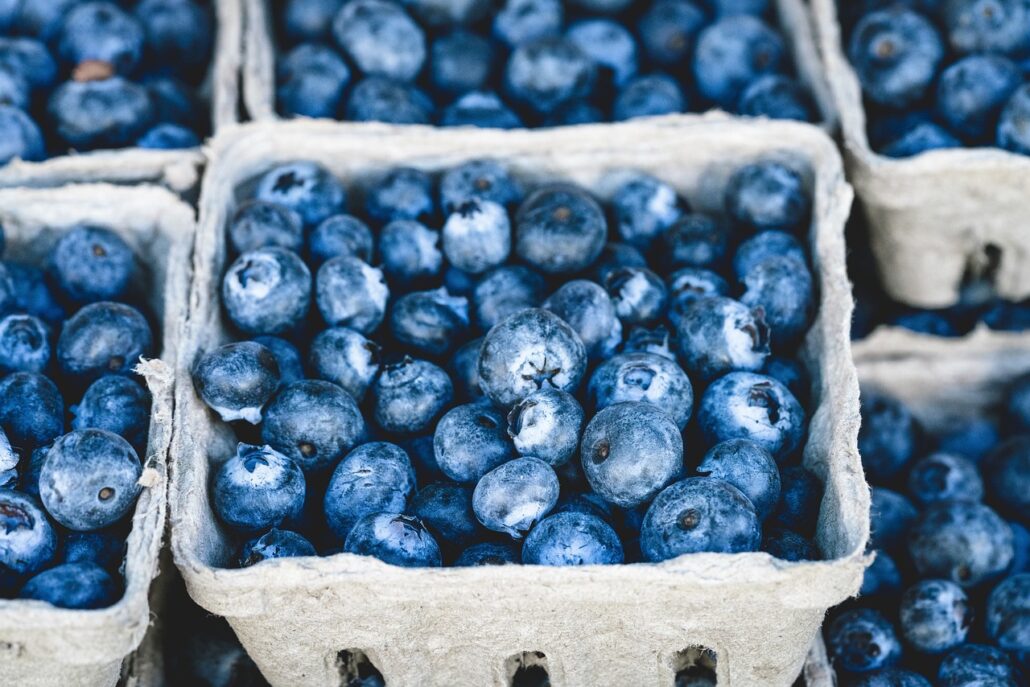 blueberries 1326154 1280