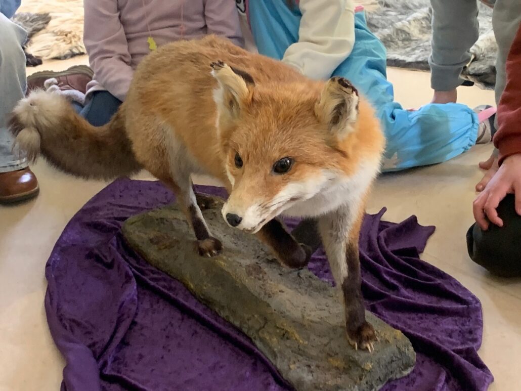 Grundschule Beim Pachthof BOberg FUchs 9