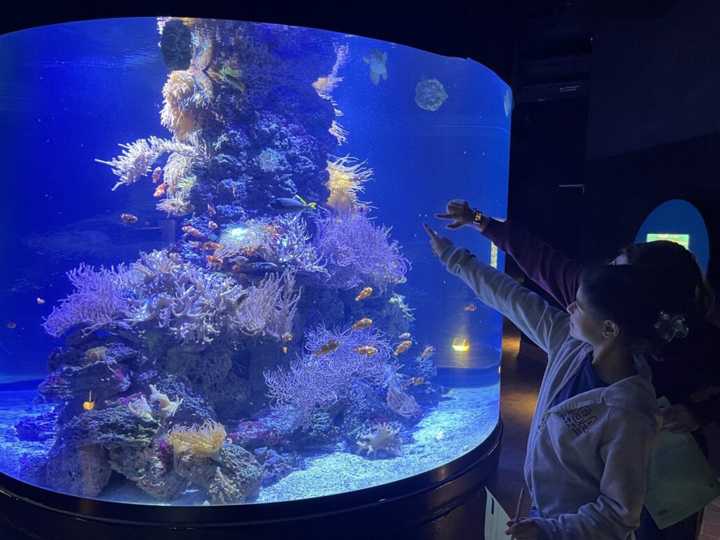 Kurt Koerber Gym im Tropen Aqaurium Wasser