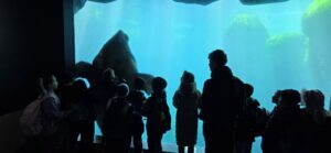 GS Horn im Tierpark Hagenbeck 1