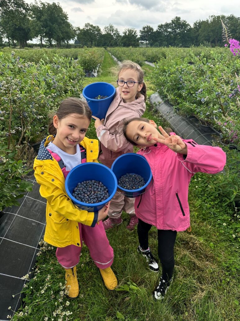 Elbinselschule drei Maedchen zeigen Blaubeereimer Elbinselschule drei Maedchen zeigen Blaubeereimer